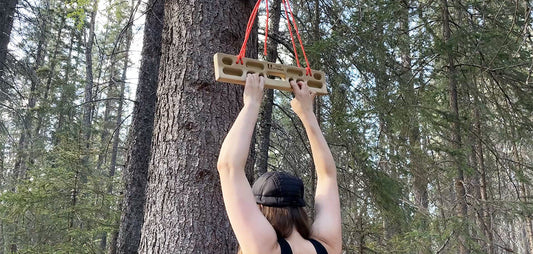 Portable hangboard