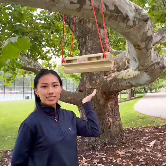 The Digital Detox: Finding Offline Strength with a Two Stones Hangboard -E