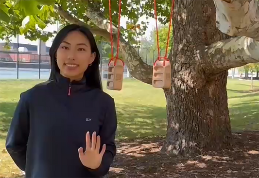 The Thoughtful Climber's Gift Guide: Beyond the Chalk Bag