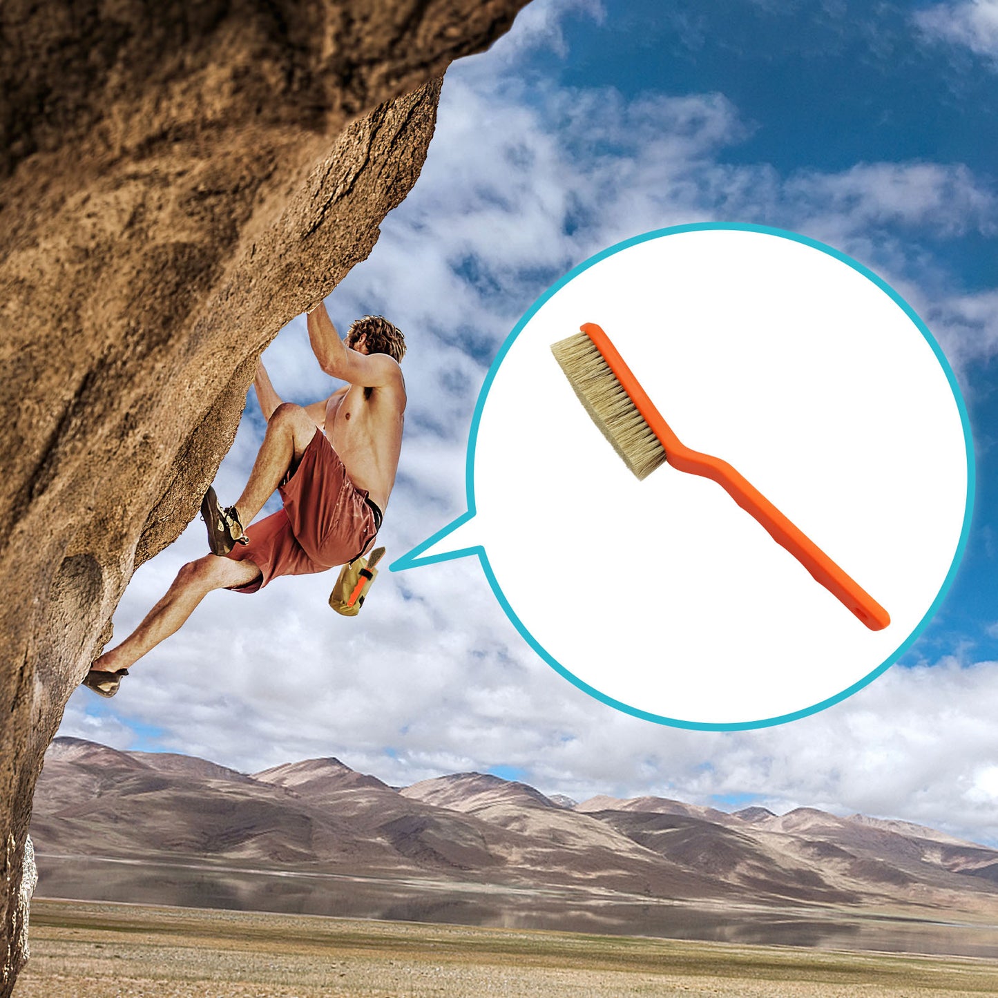 TWO STONES Boar Hair Rock Climbing Brush with Ergonomic Handle (PT-18007-BK&PP-TS)