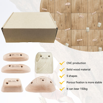 TWO STONES Wooden Rock Climbing Holds for Adults | Wood Rock Wall Climbing Holds | Variety Screw On Climbing Hold Grips Set with Mounting Hardware (CJ-HD5in1-B-TS)