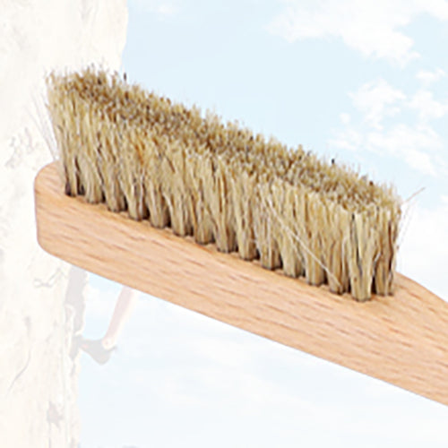 climbing brush