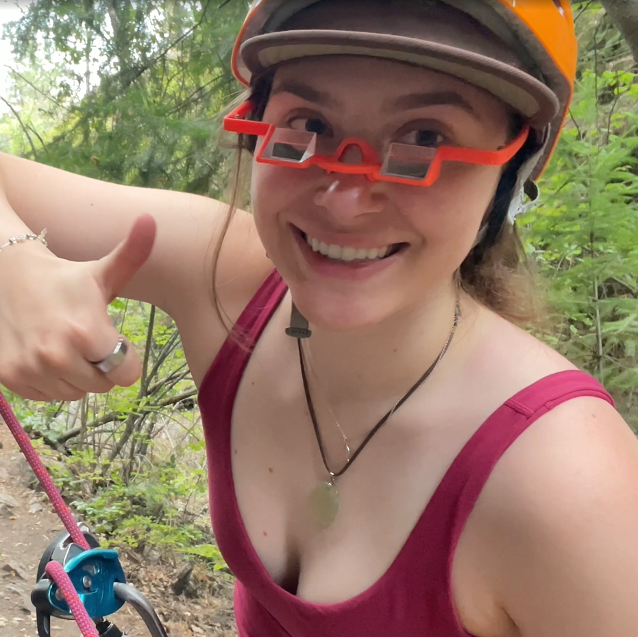 chalk brush climbing