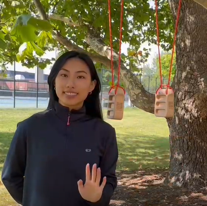 climbing holds